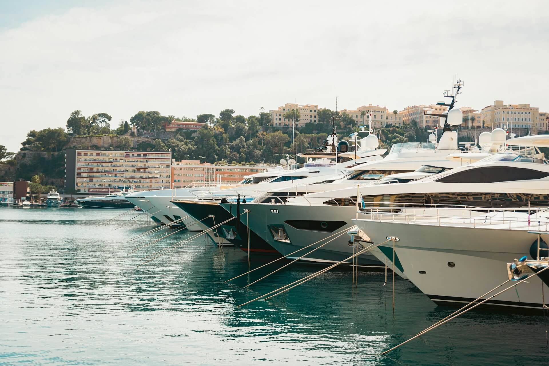 Luxury and Branded Goods